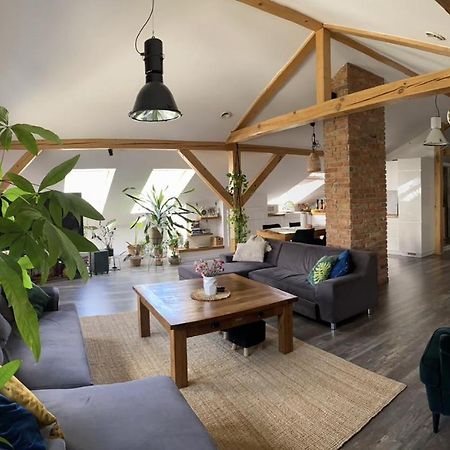 Zeromskiego Apartament แชมิตช์ ภายนอก รูปภาพ